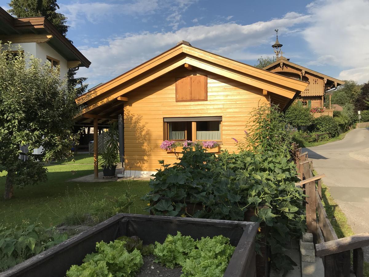 Ferienhaus Hofwimmer Kirchberg in Tirol Esterno foto
